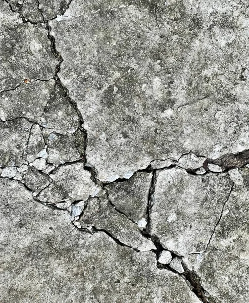 Photography Crack Concrete Shows Cracks Close Crack Concrete Surface Building — Stock Photo, Image