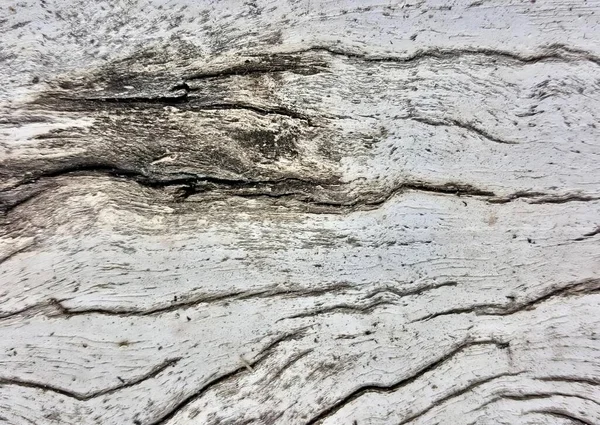 Fotografia Zbliżenia Kawałka Drewna Węzłem Kształcie Labiryntu Szorstkim Wietrznym Wyglądzie — Zdjęcie stockowe