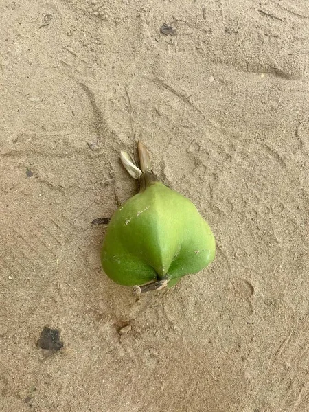 Fotografia Zielonego Jabłka Leżącego Ziemi Figurka Ziemi Zielonym Liściem Niej — Zdjęcie stockowe