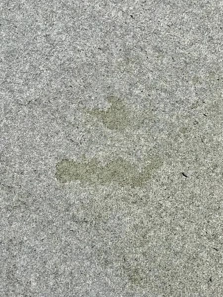 一条肮脏的人行道上有一小片泥土的照片 人行道的混凝土表面上有角响尾蛇 — 图库照片