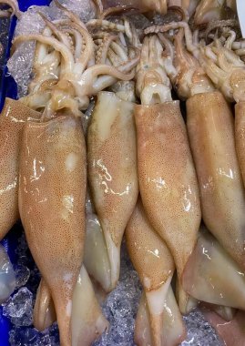 Mavi tepside buzdaki mürekkep balıklarının fotoğrafı, mavi tepside buzdaki mürekkep balıklarının izopodileri..