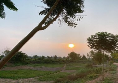 Bir trenin geçtiği toprak bir yolun fotoğrafı. Arka planda günbatımı olan toprak bir yolun yakınındaki bir ağaçta sallanan bir adam..