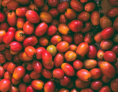 Bir yığın domatesin fotoğrafı, bir sürü domatesle birlikte, gül kalçası domatesleri bir masanın üzerine yığılır..