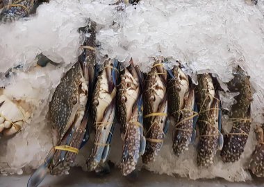 Bir grup yengecin buzun üstünde oturduğu bir fotoğraf, şehirdeki bir balık pazarında buzdaki kanser büyücüleri..