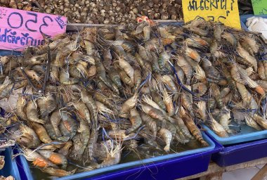 Mavi bir kutuda bir grup karidesin fotoğrafı, market vitrininde satılık karides ve diğer deniz ürünleri.