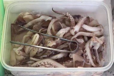 Bir kutu dolusu ahtapot dokunaçlı maşa, maşa ve çatallı konteynırda nematode solucanı..