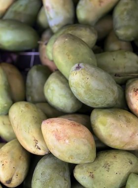 Birbirinin üstünde oturan mango yığınının fotoğrafı, markette satılık yeşil mangoların sergilenmesi..