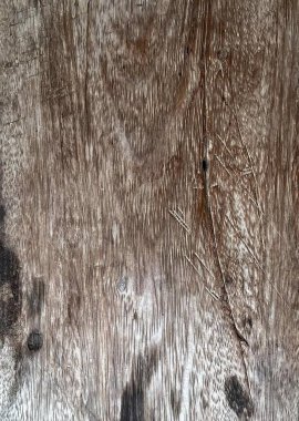 Üzerinde siyah bir nokta olan tahta bir yüzey, uzun boyunlu ve uzun kuyruklu bir inek kürkü..