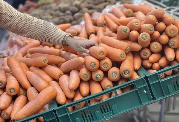 a photography of a person reaching for a bunch of carrots, grocery store worker picking carrots from a crate at a market.