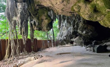 Bir mağaranın fotoğrafı, yolu ve çiti olan bir mağaranın içinden bir ağaç çıkan bir mağaranın girişinde..