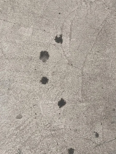 a photography of a person walking on a sidewalk with a dog paw prints.