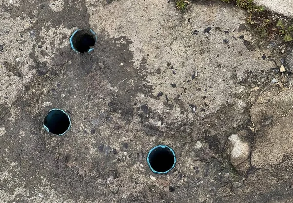 a photography of a couple of holes in the ground with a cat, manhole cover with holes in concrete area with grass and rocks.