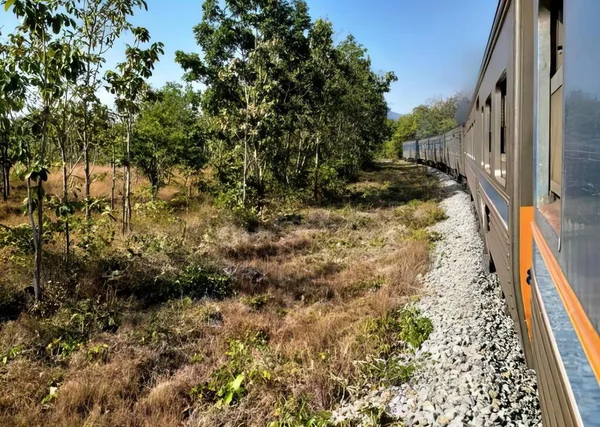 a photography of a train traveling through a lush green forest, passenger car of a train traveling through a wooded area.