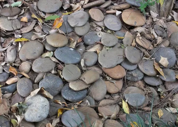Eine Fotografie Eines Haufens Von Steinen Und Blättern Auf Dem — Stockfoto