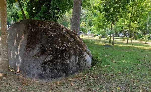 Fotografie Eines Großen Felsens Einem Park Mit Bäumen Megalithische Struktur — Stockfoto
