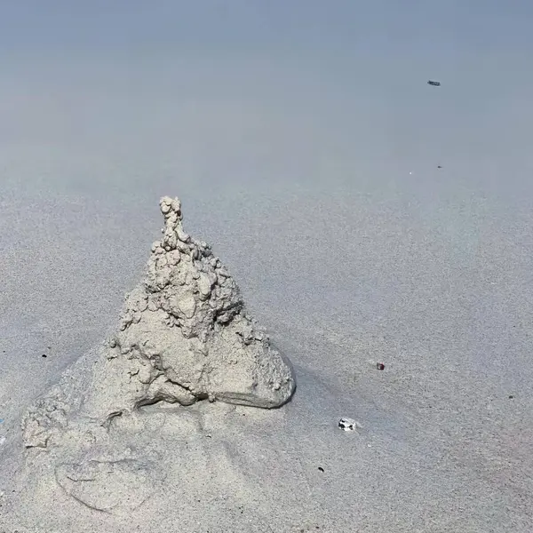 一张在海滩上的沙堡的照片 背景上有一只小鸟在飞 — 图库照片