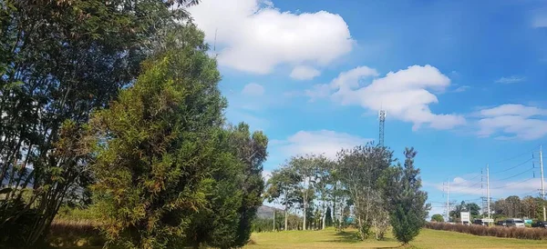 Eine Fotografie Eines Feldes Mit Ein Paar Bäumen Und Blauem — Stockfoto