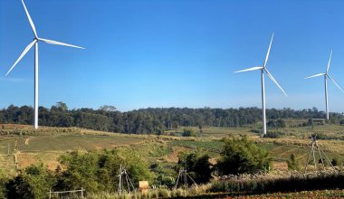 Arka planda yel değirmenleri olan bir tarlanın fotoğrafı..