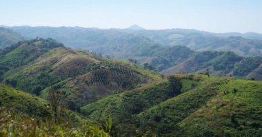 Üzerinde bir kuş olan bir dağ silsilesinin fotoğrafı..