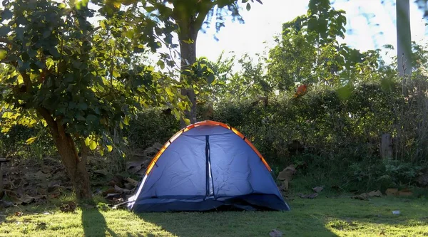 a photography of a tent in the grass with trees in the background, mountain tent in the shade of a tree in a grassy area.