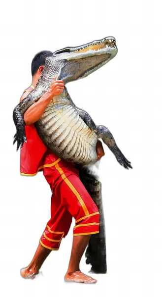 Photography Man Holding Large Alligator His Arms Bowed Man Holding — Stock Photo, Image