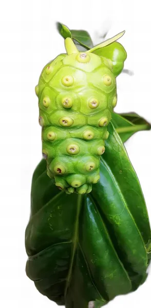Una Fotografía Primer Plano Una Fruta Verde Una Hoja Flan —  Fotos de Stock