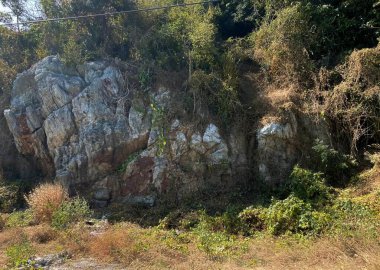 Ağaçlı ve arka planda çalılar olan bir kaya yüzeyinin fotoğrafı. Otlayan bir inekle birlikte bir kaya duvarından düşmek..