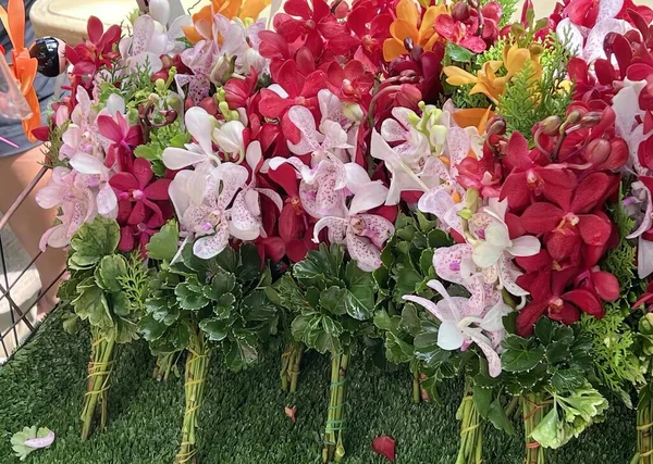 Фотографія Відображення Квітів Зелені Магазині Вазони Різних Кольорів Розмірів Розташовані — стокове фото