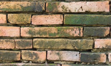 Yeşil yosun yüzeyi olan tuğla bir duvarın, yeşil yosun yüzeyi olan taş bir duvarın ve kırmızı tuğladan bir duvarın fotoğrafı..