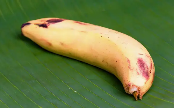 Fotografia Banana Liściu Banana Stole Banan Zielonym Liściu Brązową Plamką — Zdjęcie stockowe