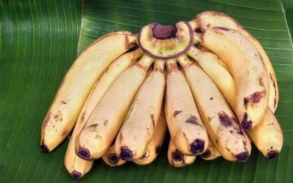 Photography Bunch Bananas Banana Leaf Banana Bunches Banana Leaf Purple — Stock Photo, Image