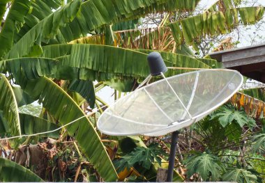 Metal bir direğin tepesinde oturan bir uydu anteninin fotoğrafı. Arka planda muz ağacı olan bir direkte güneş enerjisi toplayıcısı..