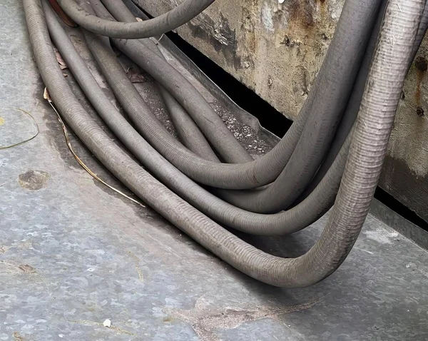 Fotografia Kilku Węży Siedzących Ziemi Węże Odkurzające Ustawione Linii Betonowej — Zdjęcie stockowe