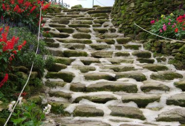 Üzerinde yosun büyüyen taş bir merdiven, üzerinde basamaklar ve çiçekler olan taş bir duvar..