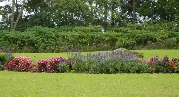 Una Fotografía Jardín Con Una Roca Medio Laberinto Flores Jardín — Foto de Stock