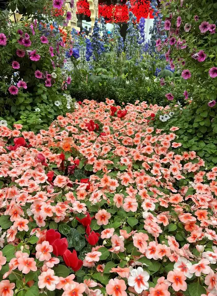 Фотографія Саду Великою Кількістю Квітів Червоною Парасолькою Скляний Будиночок Садом — стокове фото