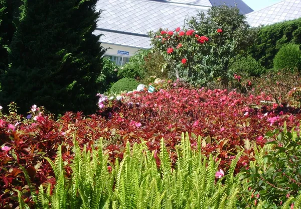 배경에 집이있는 정원의 꽃병과 배경에 집이있는 정원에 — 스톡 사진
