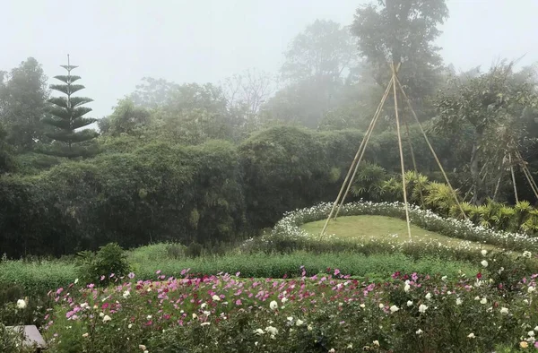 Uma Fotografia Jardim Com Uma Cama Circular Flores Maypolen Jardim — Fotografia de Stock