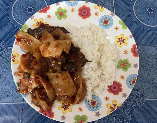 a photography of a plate of food with rice and meat, plate of food with rice and meat on a blue table.