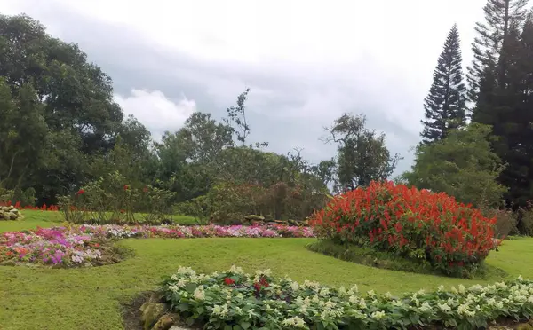 Uma Fotografia Jardim Com Monte Flores Árvores Margem Lago Com — Fotografia de Stock