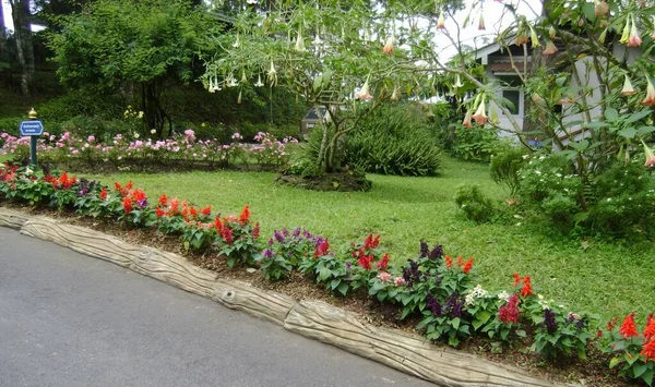 a photography of a garden with a flower bed and a bench, stone wall with flower bed in front of house with trees and flowers.