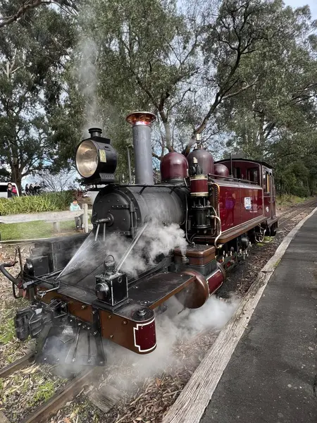 Una Fotografia Motore Treno Con Vapore Che Esce Esso Locomotiva — Foto Stock