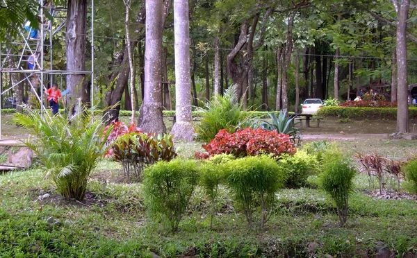 Uma Fotografia Parque Com Banco Monte Árvores Vasos Plantas Parque — Fotografia de Stock