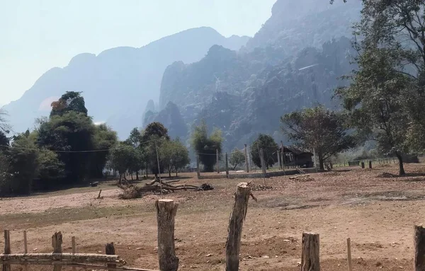 Arka planda dağ olan bir tarlada duran bir zürafanın fotoğrafı..