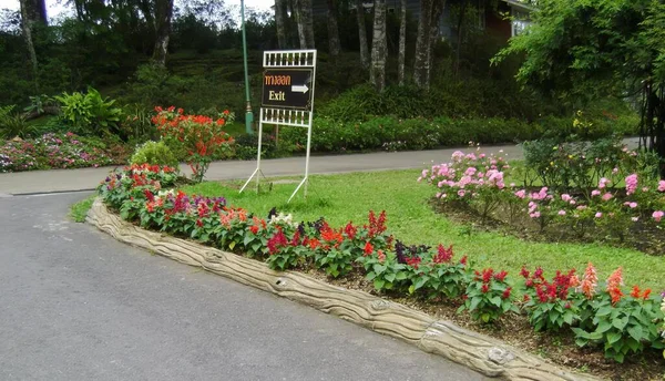 a photography of a flower bed with a sign in the middle of it, stone wall with flower bed and sign in front of house.