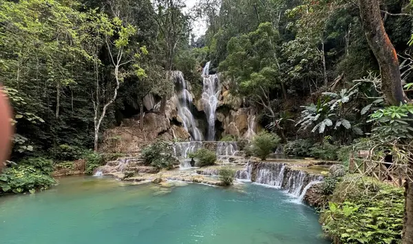a photography of a waterfall in the middle of a forest, valley with a waterfall and a pool of water surrounded by trees.