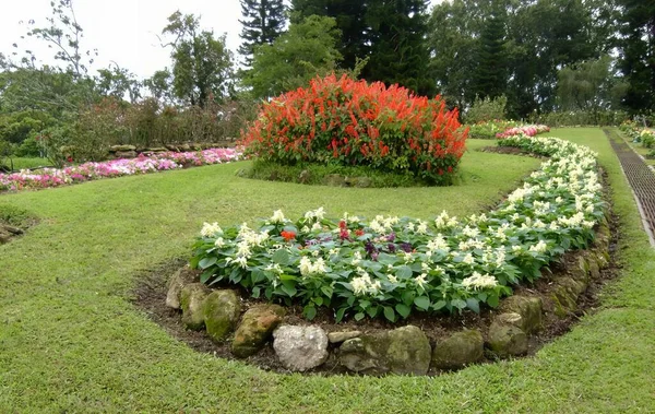 Una Fotografía Jardín Con Lecho Flores Circular Centro — Foto de Stock