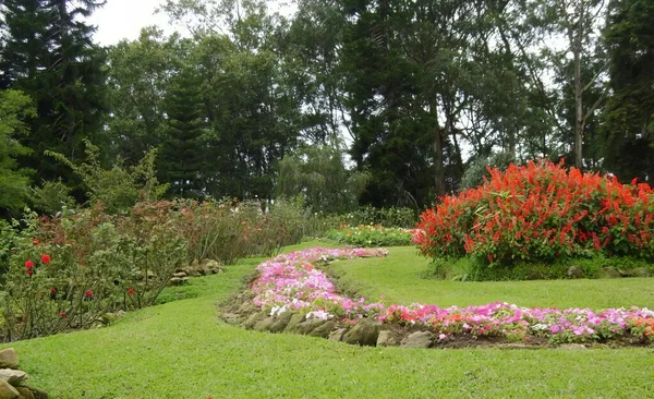 中央に道と花がある庭の写真 石の道のある庭の花の迷宮 ストック写真