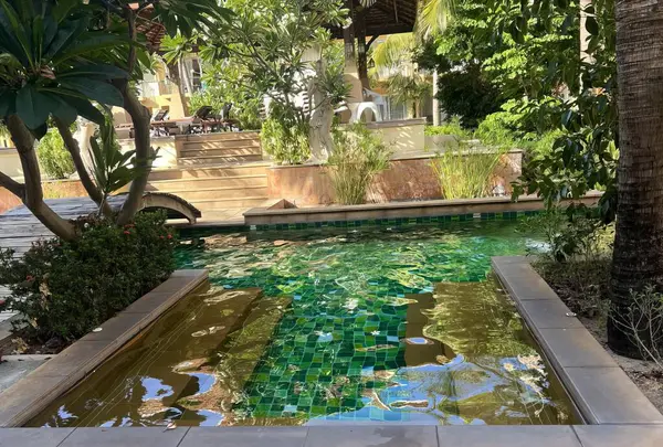 a photography of a pool with a green tile design in the middle, there is a small pond with a green tile in it.