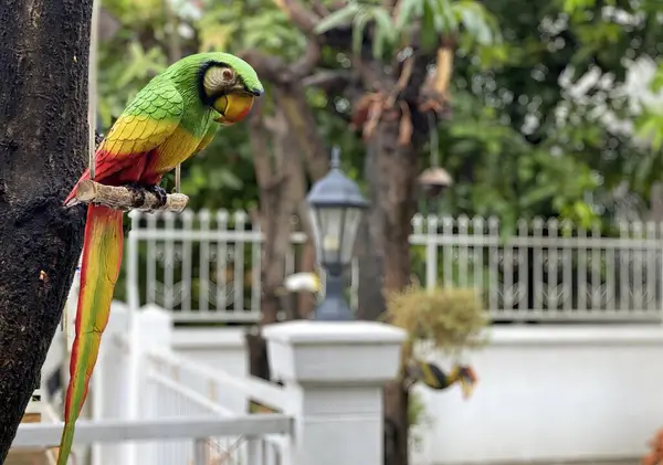 Фотографія Папуги Гілці Дерева Парку — стокове фото